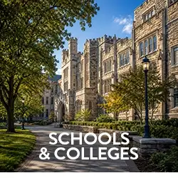 Schools & Colleges