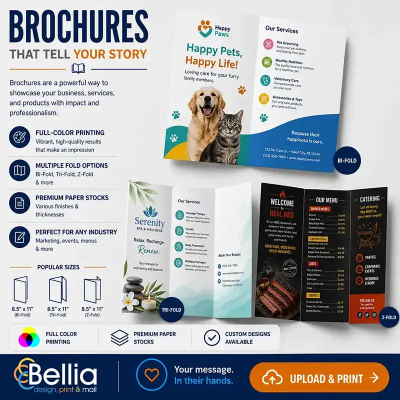 Brochures